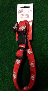 1. FC Köln - LED Hundehalsband