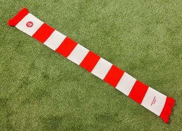 Sportfreunde Siegen - Schal Blockstreifen