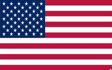 Stockfahne USA 30 x 45 cm