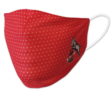 1. FC Köln - Mund-Nasen-Maske Punkte