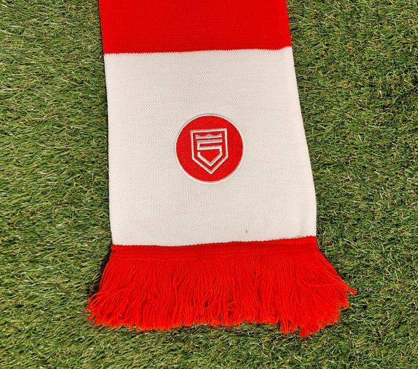 Sportfreunde Siegen - Schal Blockstreifen