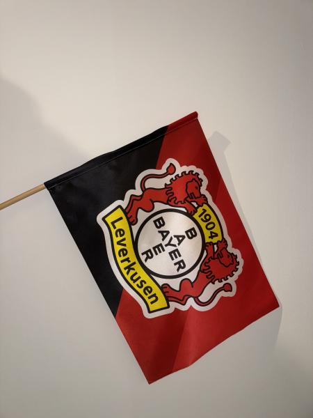 Bayer 04 Leverkusen - Stockfahne Logo 40 x 60 cm