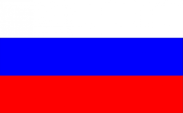 Stockfahne Russland 30 x 45 cm