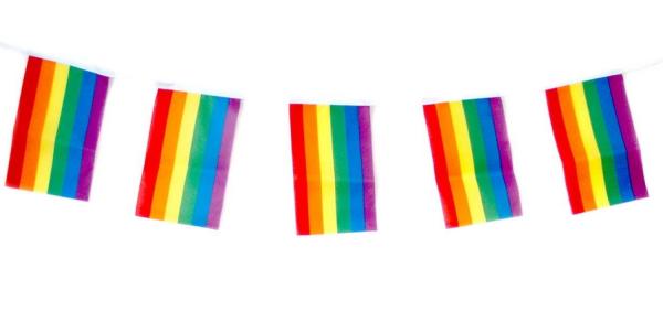 Fahnenkette Regenbogen 3 Meter