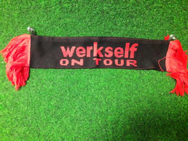 Bayer 04 Leverkusen - Autoschal